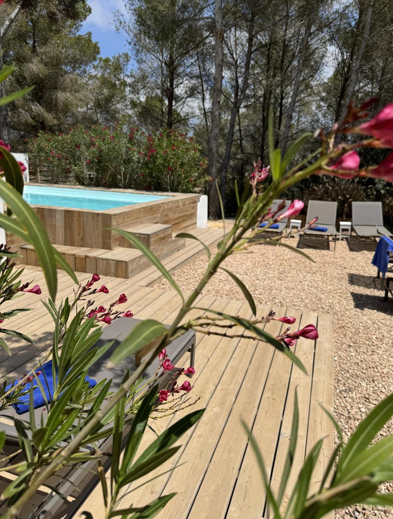 Feliz Lagartija Villa Cala Saona Eksteriør billede